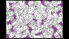 Brain Teaser Only people with good vision can recognize strange dice