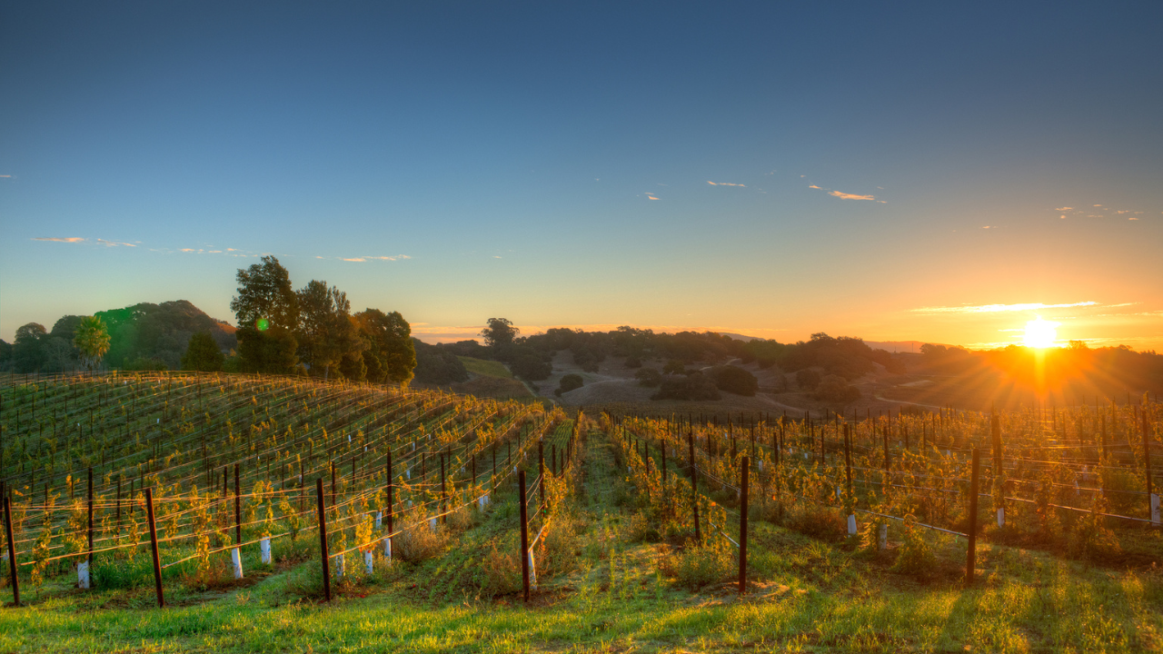 Napa Valley, California