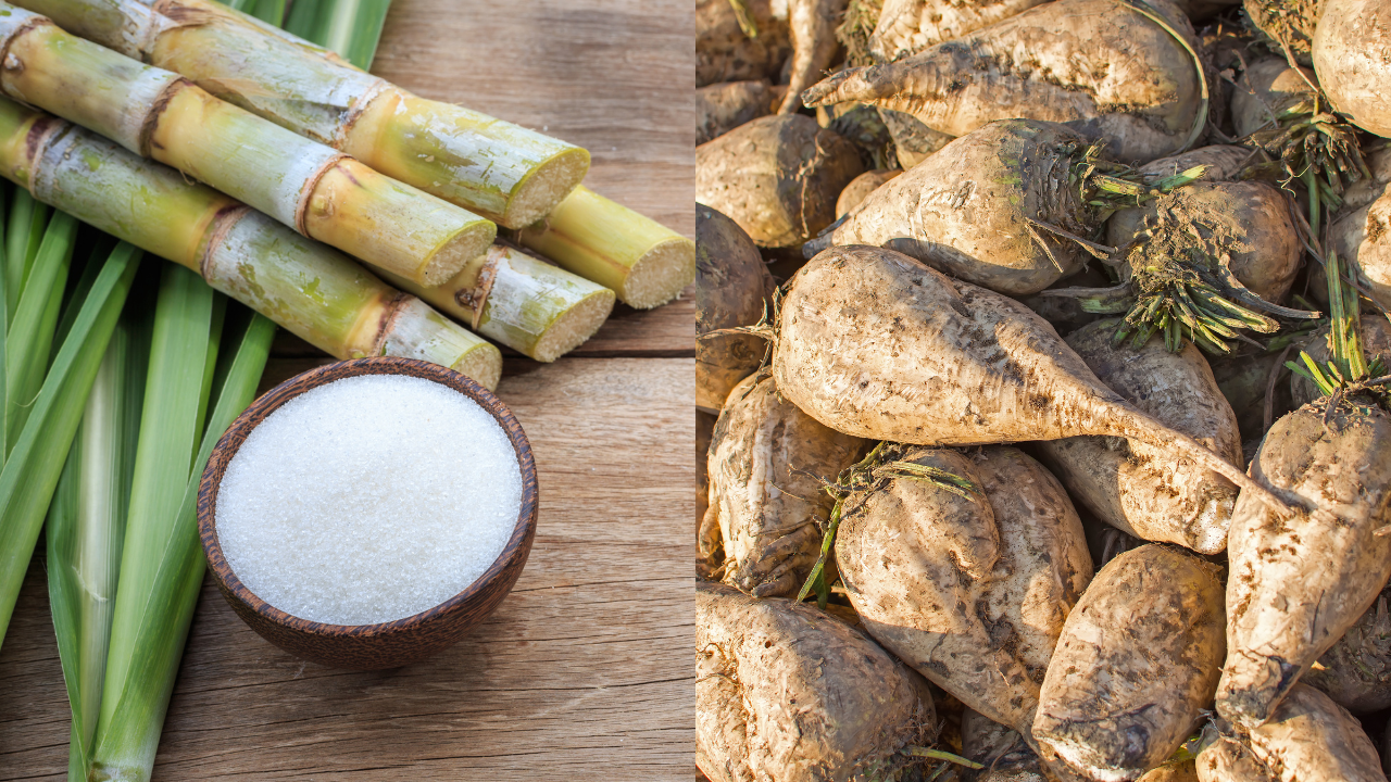 beet sugar vs cane sugar