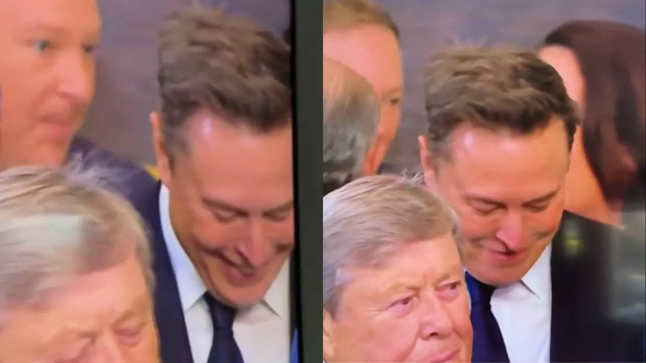 Elon Musk Laughing At Memes