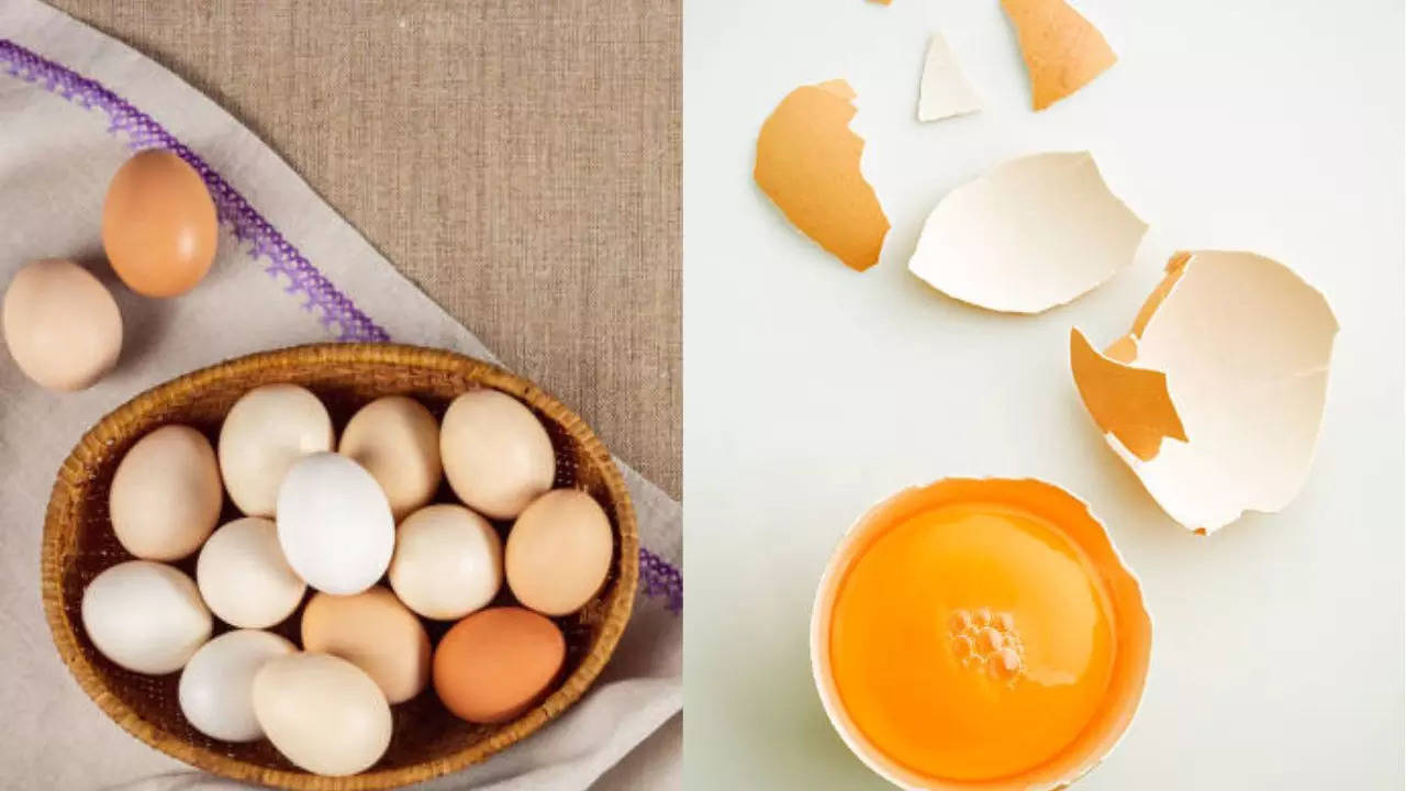 In a shocking explanation, food experts say, eggs are completely vegetarian; This way