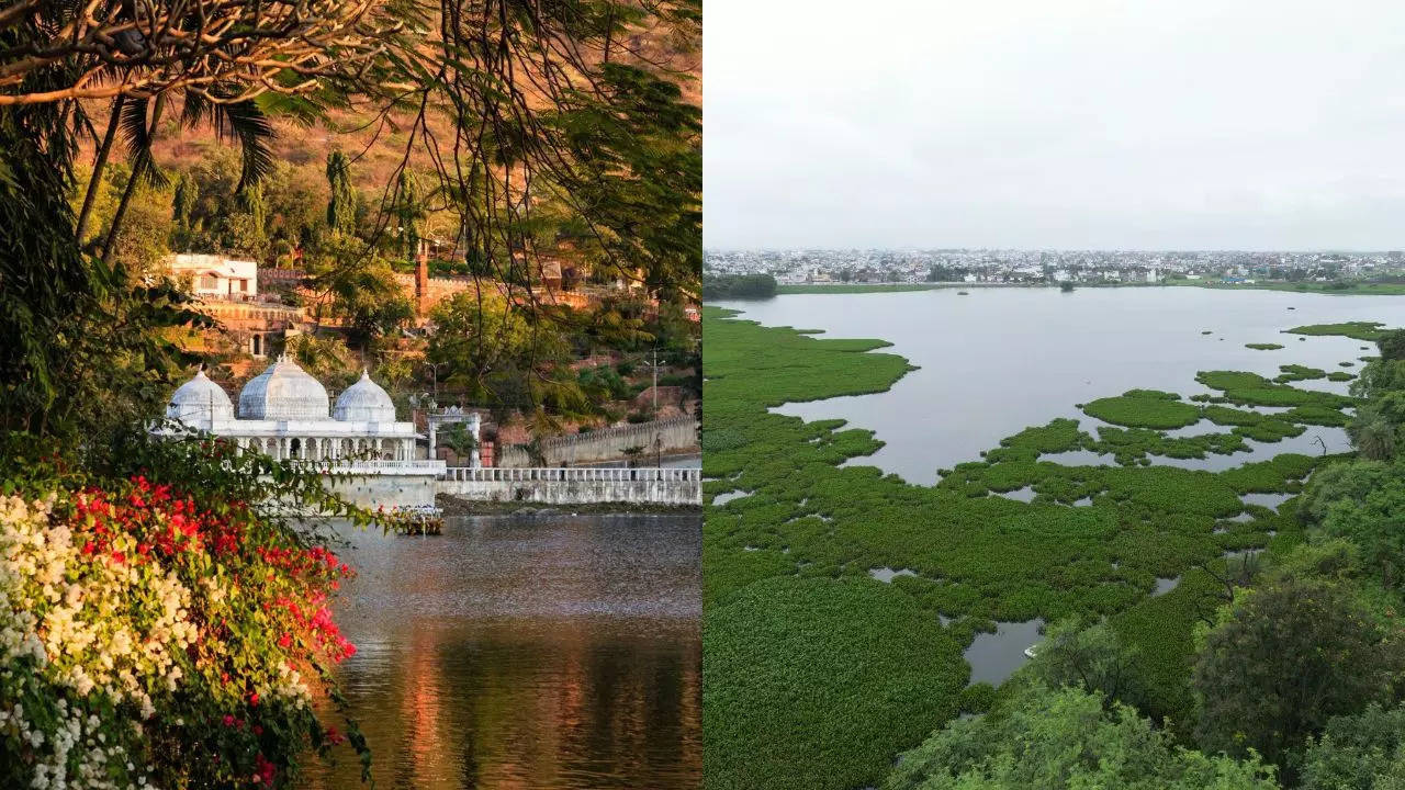 Indore & Udaipur Make History As India’s First Wetland Accredited Cities