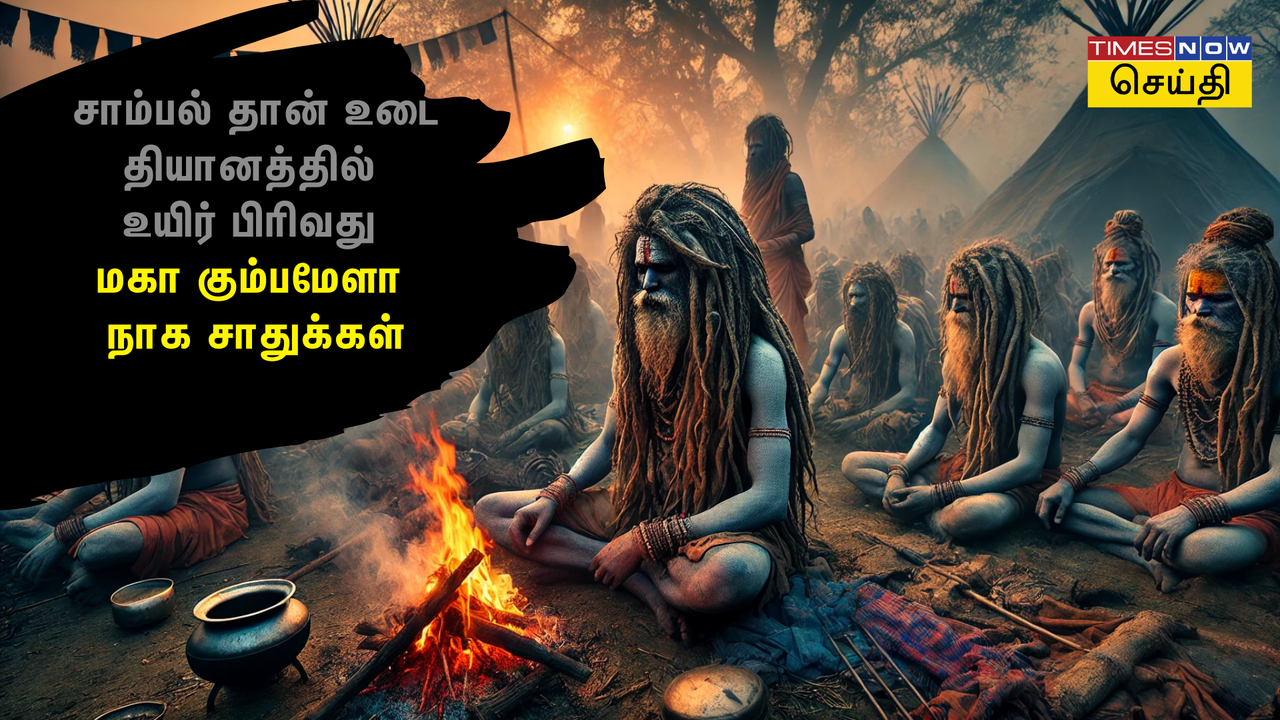  சாம்பல் தான் ஆடை... உயிருடன் இருக்கும் போதே இறுதிச் சடங்கு! - யாரிந்த நாக சாதுக்கள்? மகா கும்பமேளா 2025 