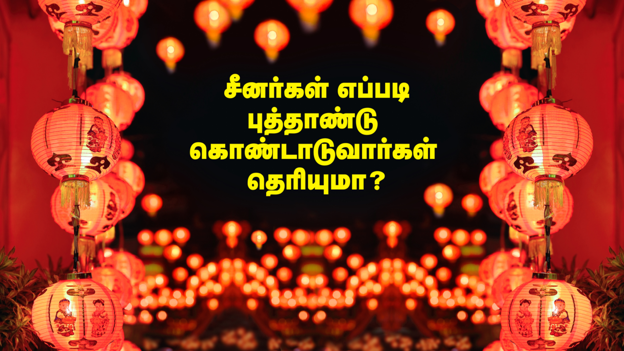  சீனர்கள் எப்படி புத்தாண்டு கொண்டாடுவார்கள் தெரியுமா? 2025 சீனப் புத்தாண்டு பற்றிய சுவாரஸ்யமான தகவல்கள் 