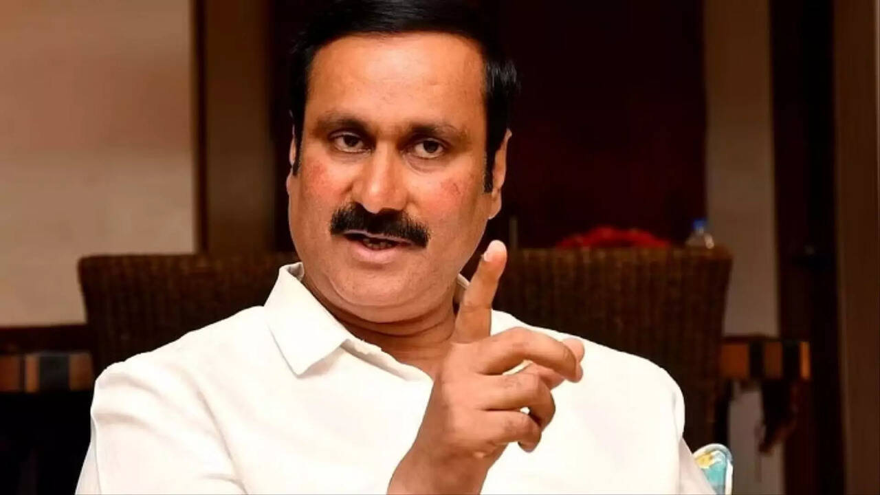  சென்னையில் பள்ளி மாணவர்களுக்கு காலை உணவு தயாரிக்கும் பணியை தனியாரிடம் ஒப்படைப்பதா? அரசுக்கு அன்புமணி கேள்வி 