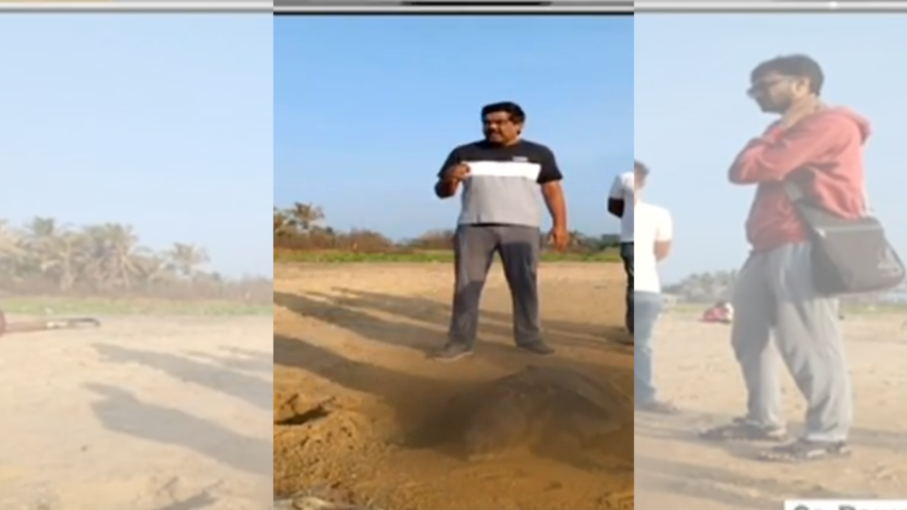 over 1k olive ridley turtles wash ashore dead along chennai coastline-what’s causing this?