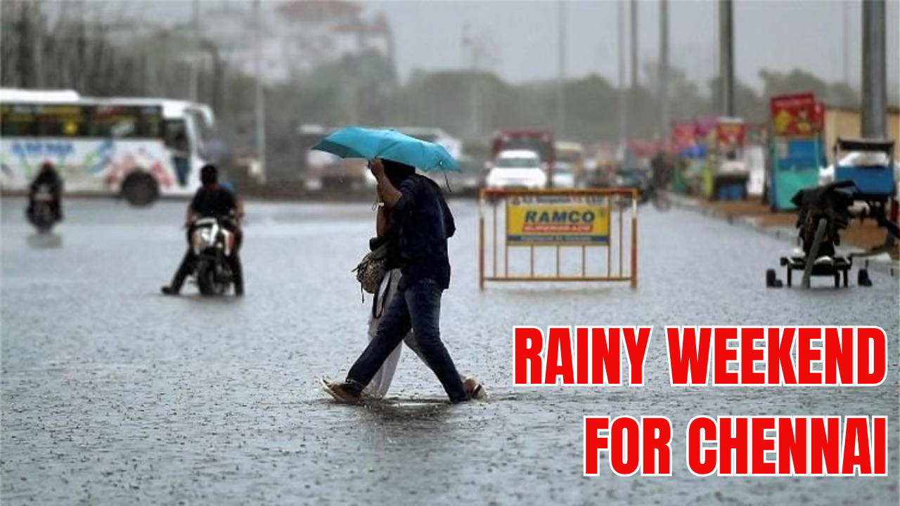 chennai weather today: city to start february with intense rainfall; tamil nadu on rain warning till next week