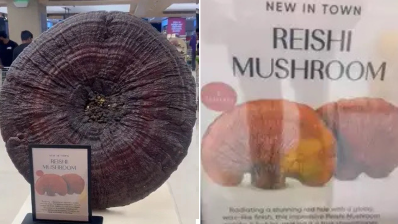 Rs 5 Lakh Mushroom