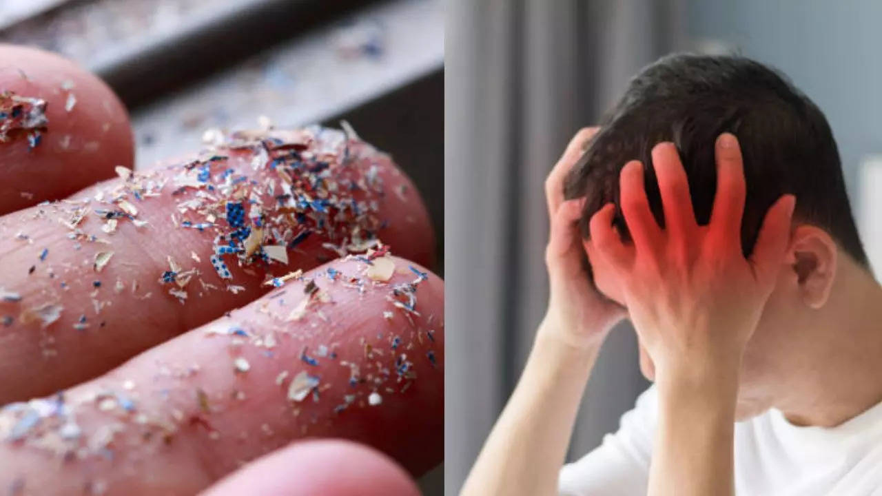 Microplastics can disrupt blood flow to the brain: study