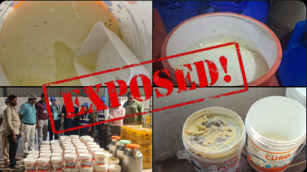dead lizard, rotten curd: telangana milk unit's shocking violations!