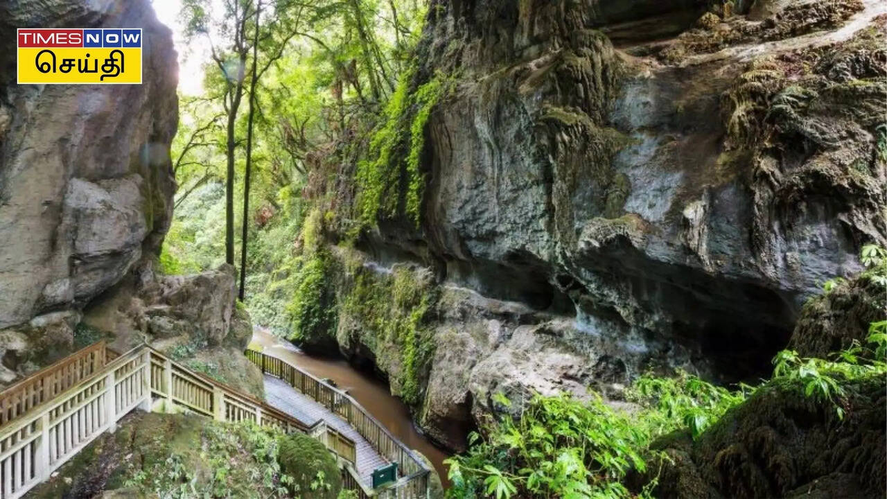  கேரளாவின் வரலாற்று புதையலை பார்க்கனுமா? இந்த குகைக்கு போனால் போதும்! 