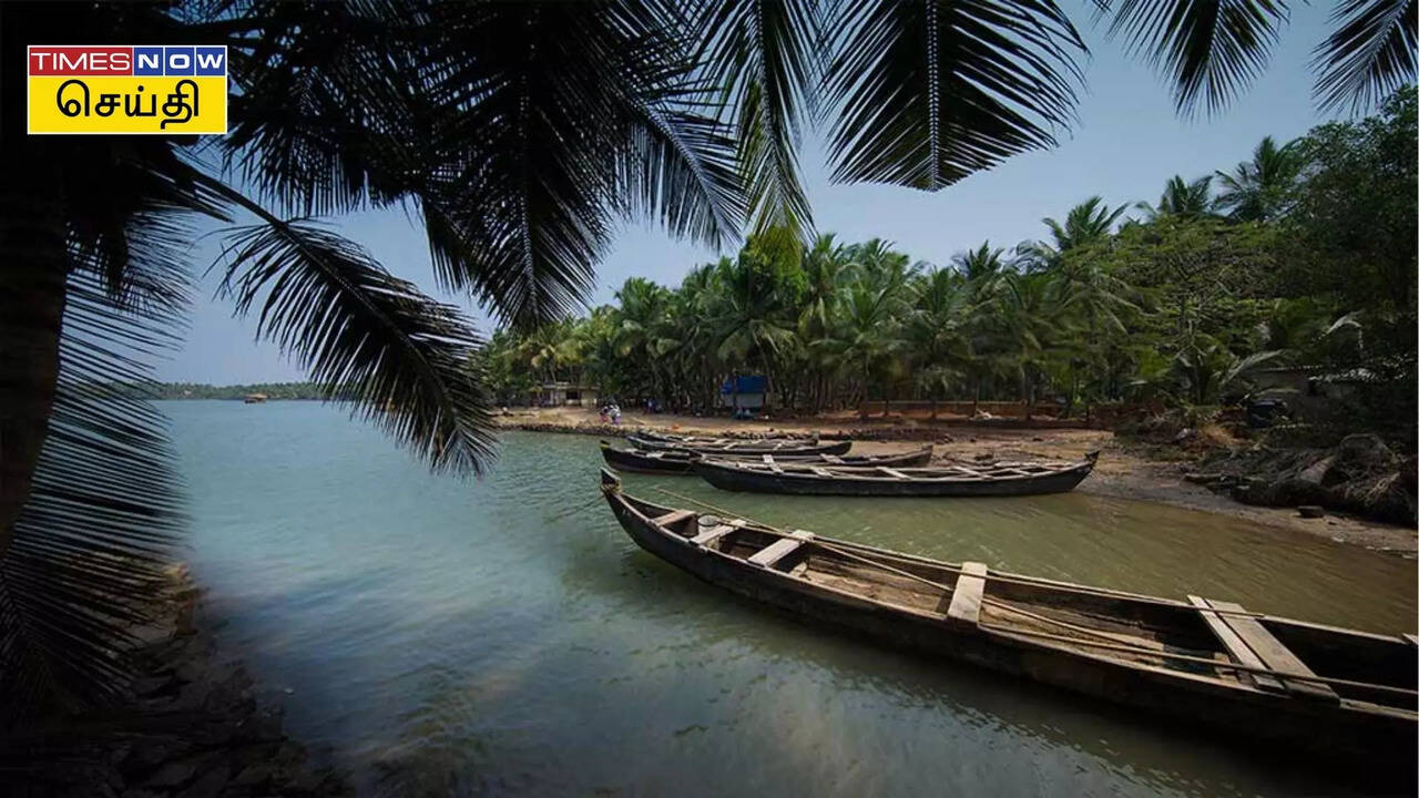  Kerala beach: கேரளாவில் இப்படி ஒரு கடற்கரையா ? குடும்பத்துடன் செல்லவேண்டிய சூப்பர் ஸ்பாட் இதோ! 