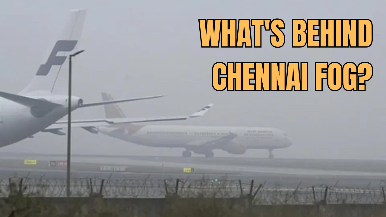 chennai's dense fog a sign of winter arrival in tamil nadu? weather conditions explained