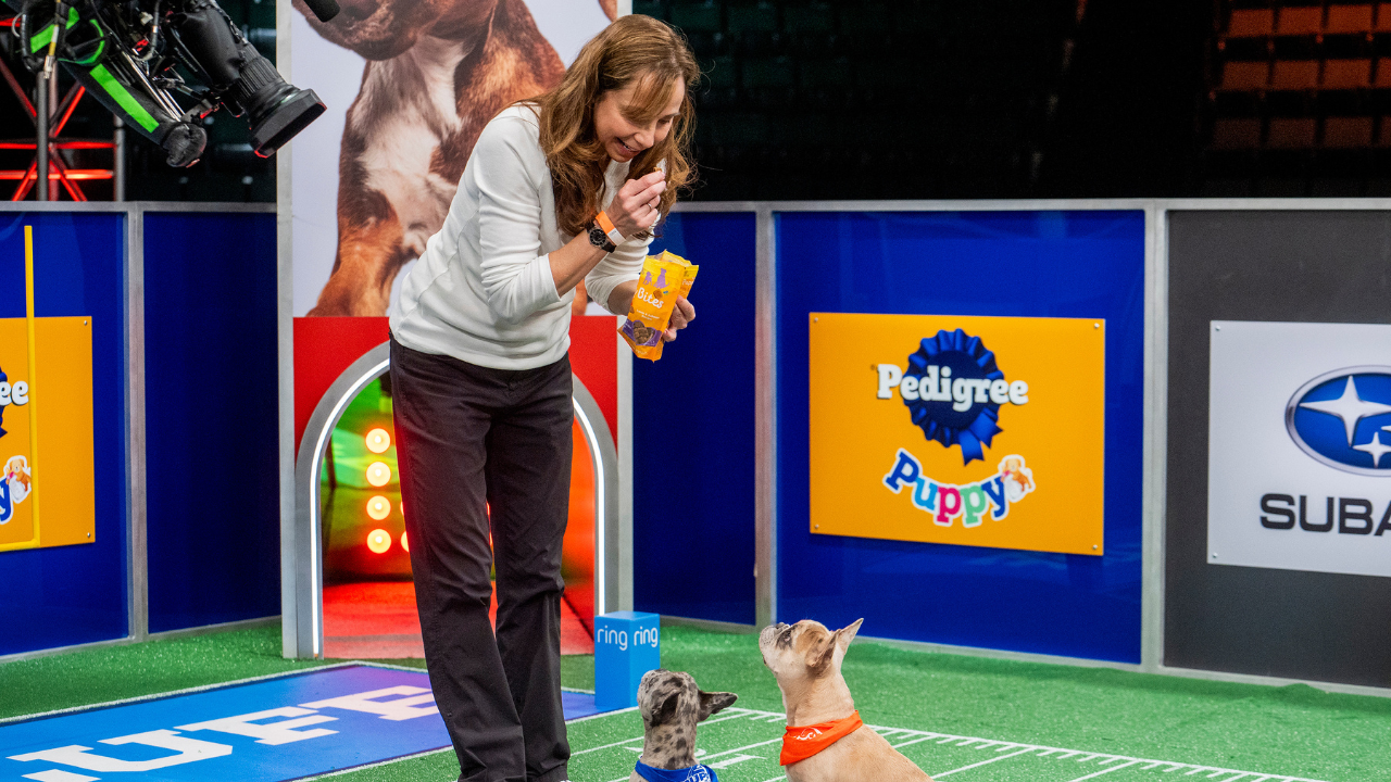 Puppy Bowl XXI