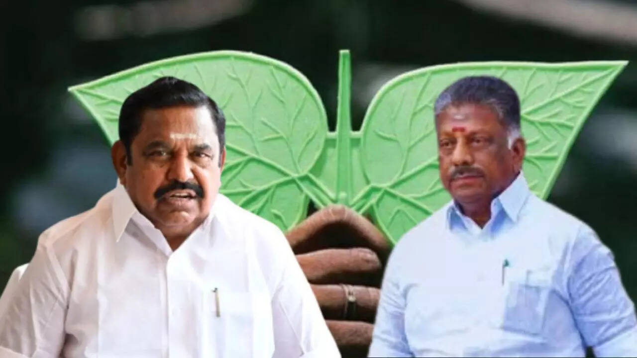  இரட்டை இலை சின்னம் நீதிமன்றம் தீர்ப்பு.. மீண்டும் தர்மம் வெல்லும் ஓபிஎஸ் நம்பிக்கை.. 