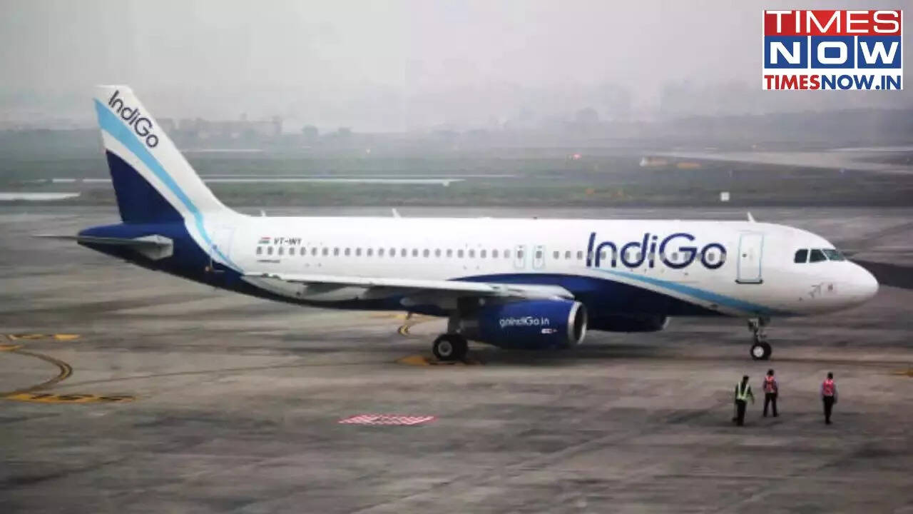 this valentine’s day fly together to save more, indigo offers up to 50% off and exclusive flight perks– check details