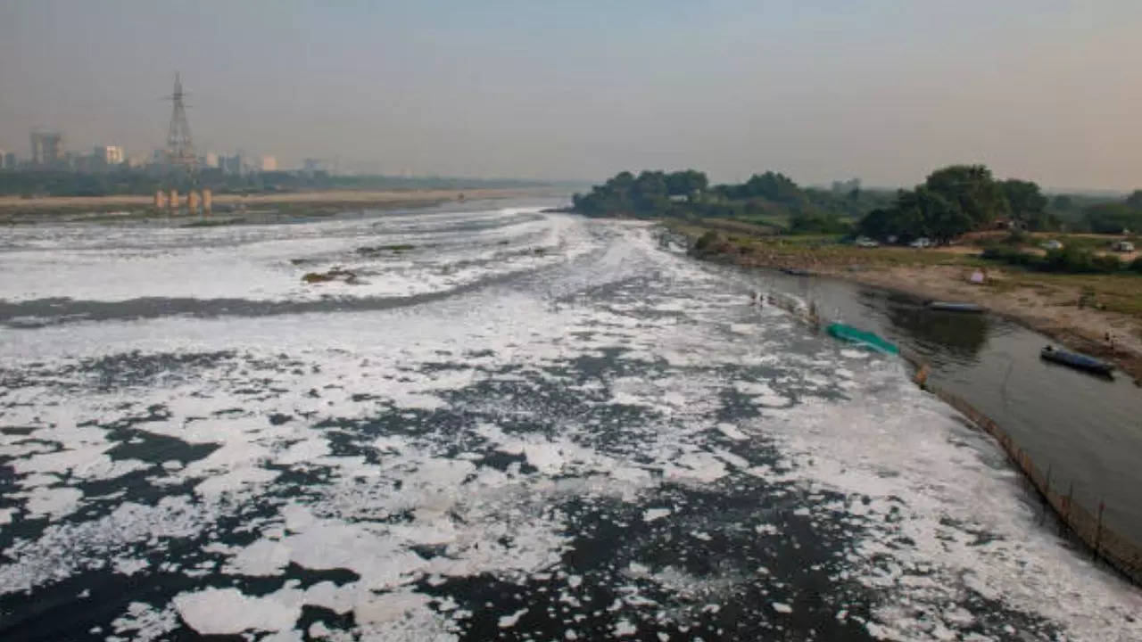 Is Delhi Water Safe? How Rising Ammonia Levels In The Yamuna Can Harm Your Health