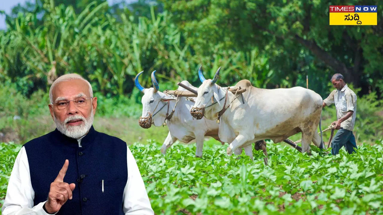 PM Kisan 19th Installment