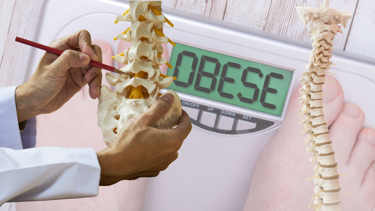 The Wetty Truth: How Obesity reduces your spine and bones The Wetty Truth: How Obesity reduces your spine and bones