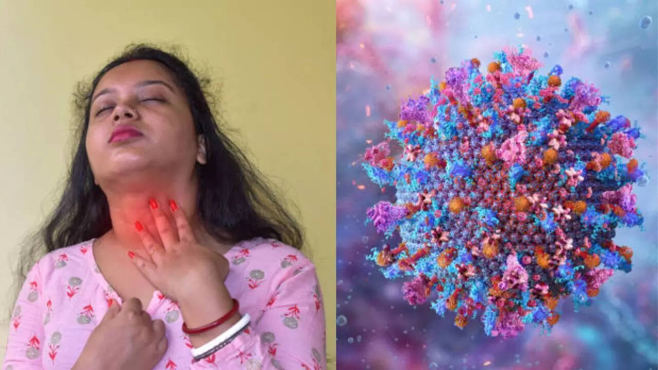H1N1 The major difference between swine flu and seasonal flu that is affecting Delhi-NCR residents, you should know H1N1 The major difference between swine flu and seasonal flu that is affecting Delhi-NCR residents, you should know