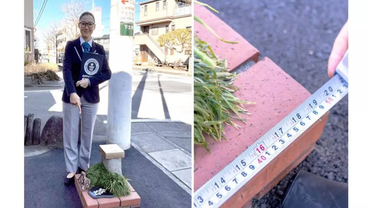 Did You Know World's Smallest Park Is The Size Of Four Pieces Of Paper?