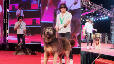 Bangalore Dog-Breeder Satish Buys THIS Breed In Rs 50 Crore; How Much Is  'Wolfdog' Making Per Show? | Times Now