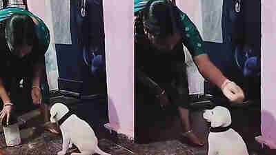 Mom Said No Dogs At Home'; But Her Next Move For This Puppy Is ...