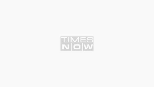 AMAZING INSIDE PICS of Parineeti Chopra Raghav Chadhas Rs 10 lakhsday Maharaja Suite  Royal Facilities Airport Transfers in BMW Goose Down Feather Pillow Lake View And More