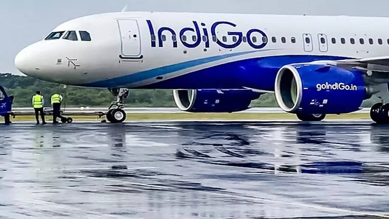 Indigo