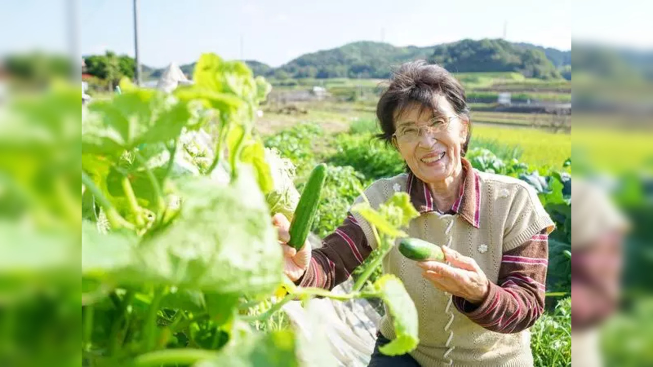 Japanese_Okinawa_longevity