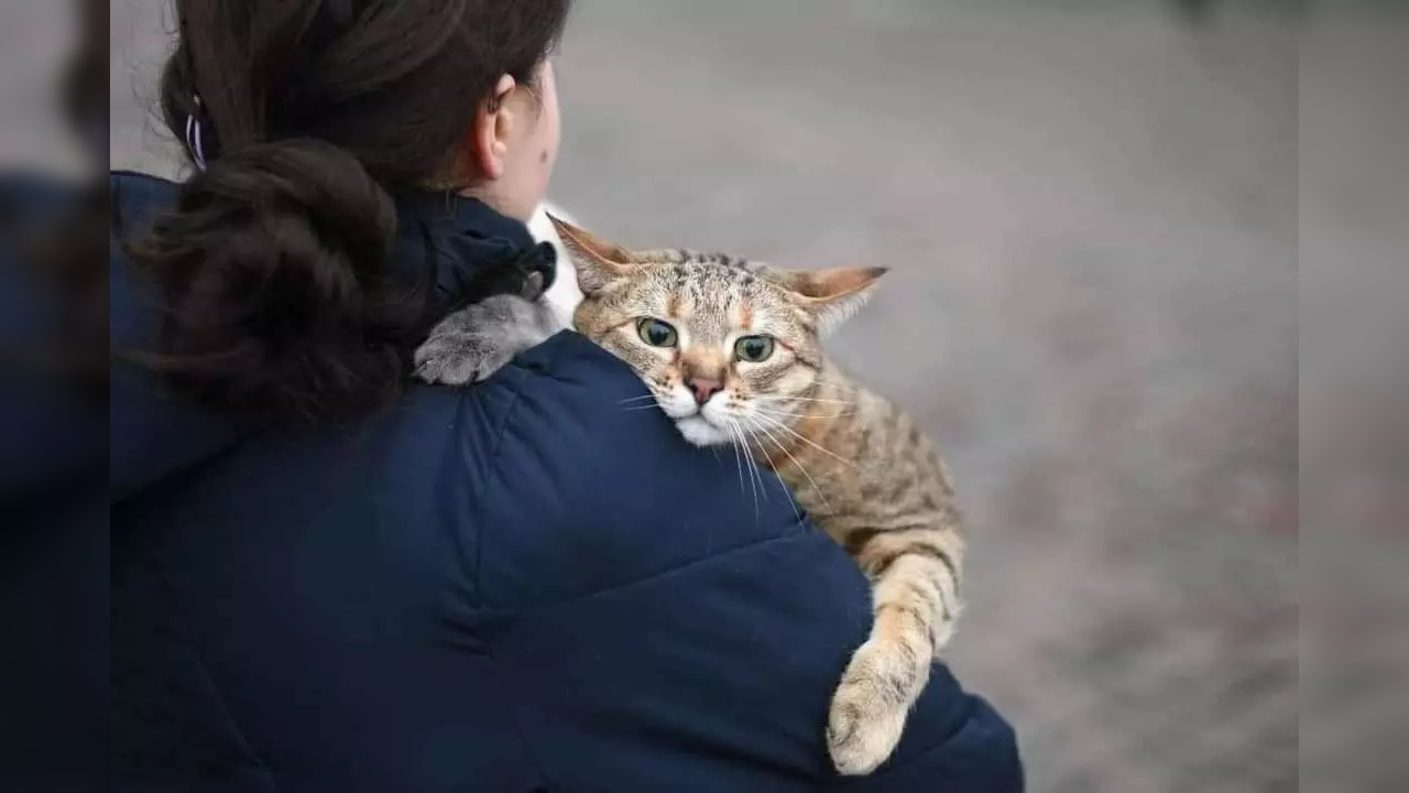 People in Ukraine are not letting go of their pets