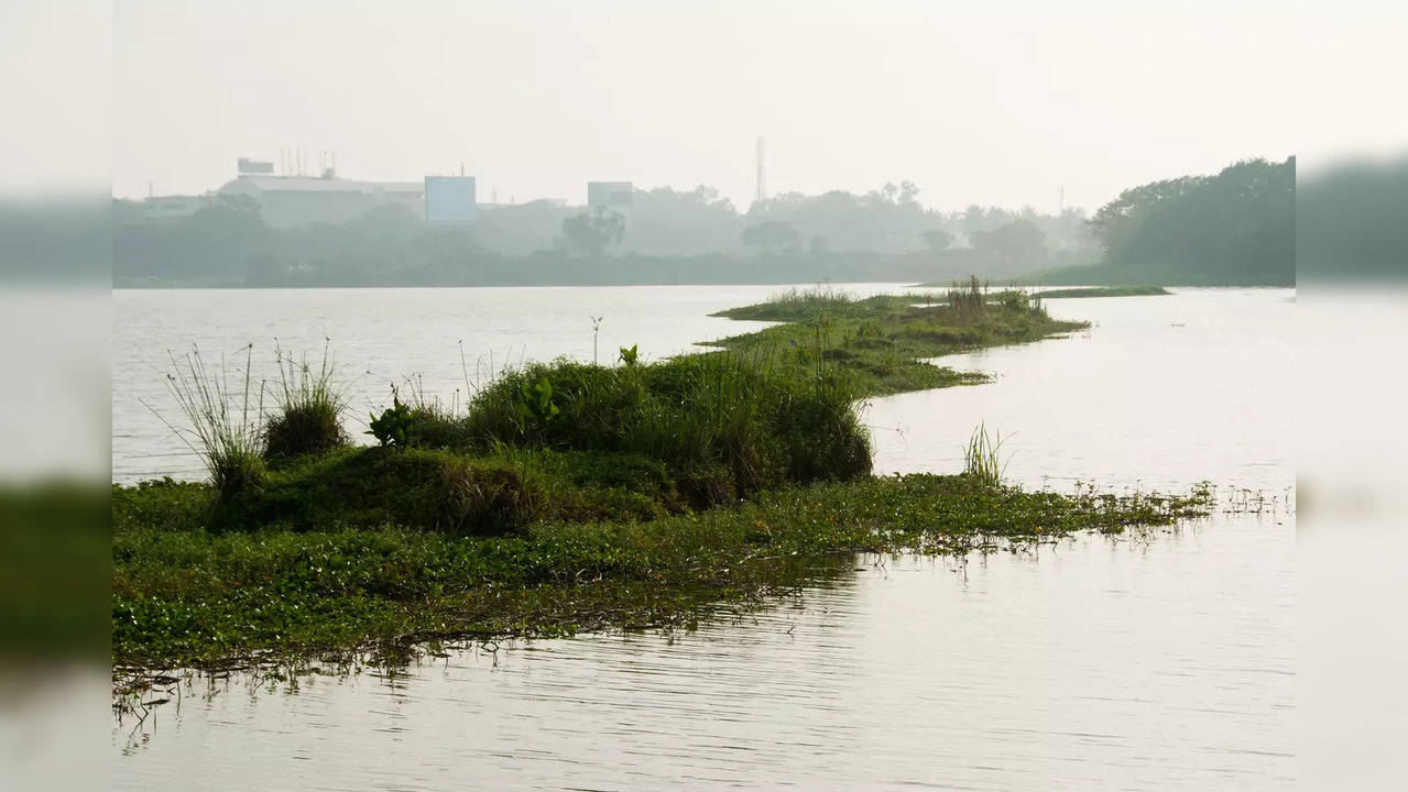 Bengaluru lake rejuvenation work going on for the last five years