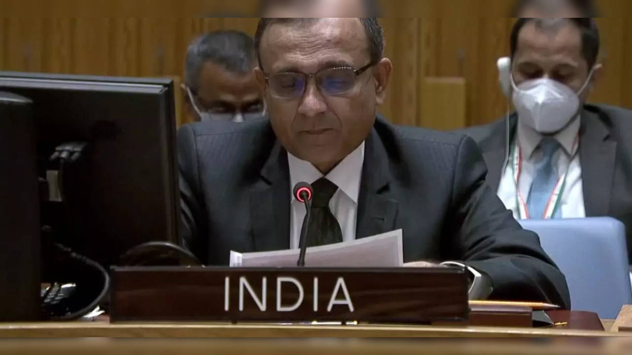 TS Tirumurti, at UNSC