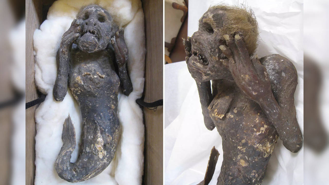 El misterio de la «sirena» momificada de 300 años con «rostro humano» y cola ha desconcertado a los científicos