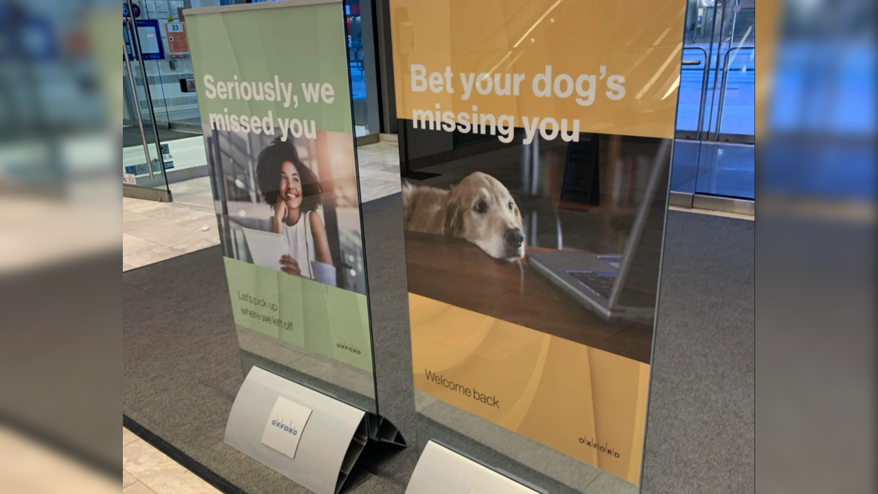 An office put up a poster that read, 'Bet your dog's missing you'. | Image: Reddit