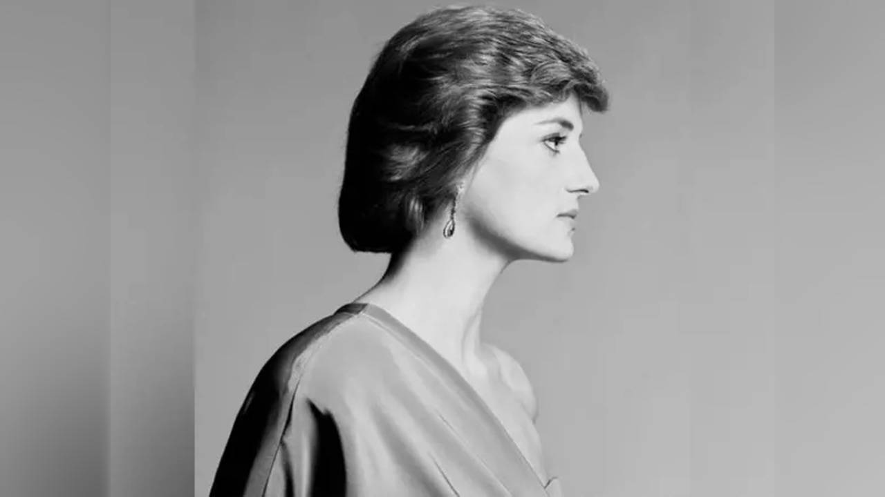 Princess Diana's never-before-seen portrait unveiled