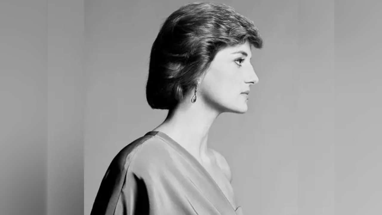 Princess Diana's never-before-seen portrait unveiled