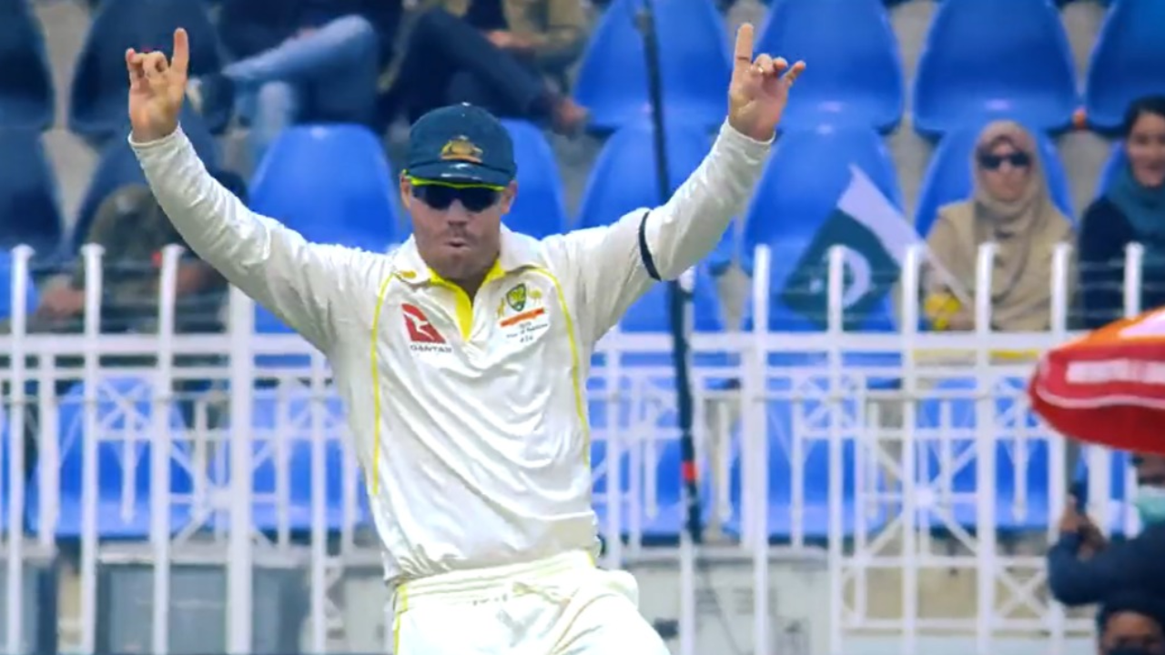 David Warner viral dance moves screengrab