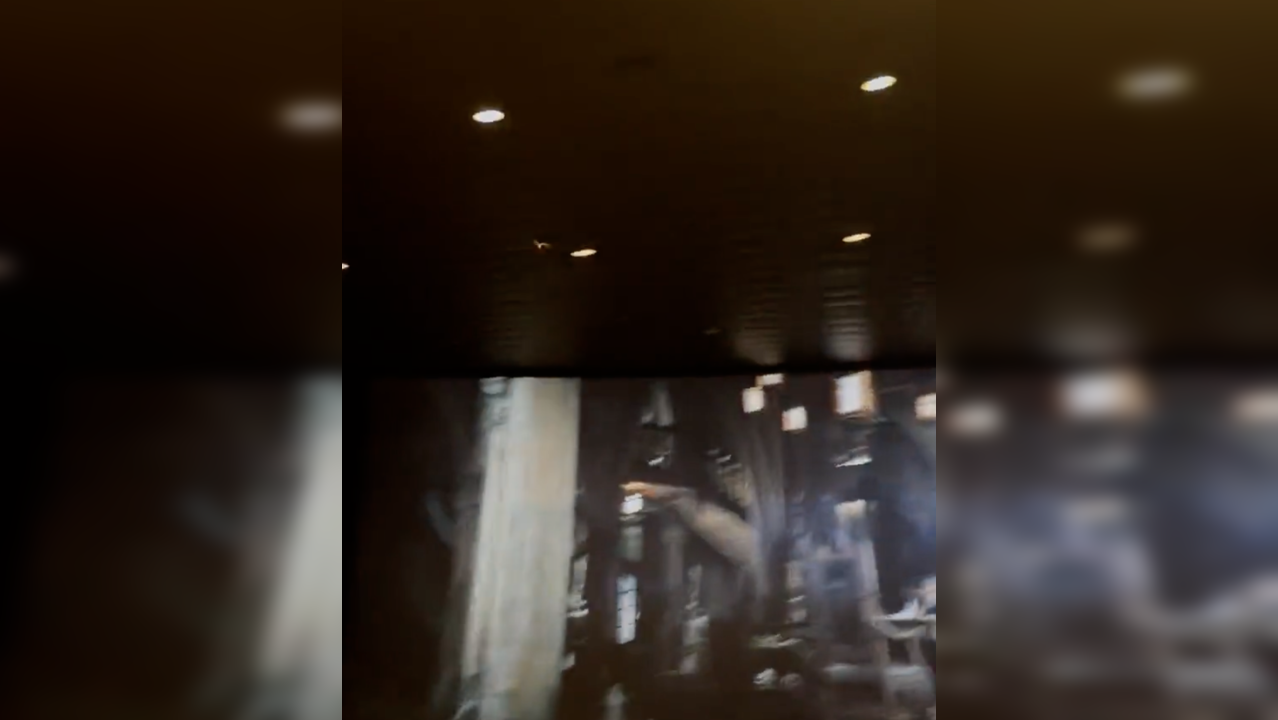 Viral video: Live bat flies into theatre during The Batman screening in  Texas | Viral News, Times Now