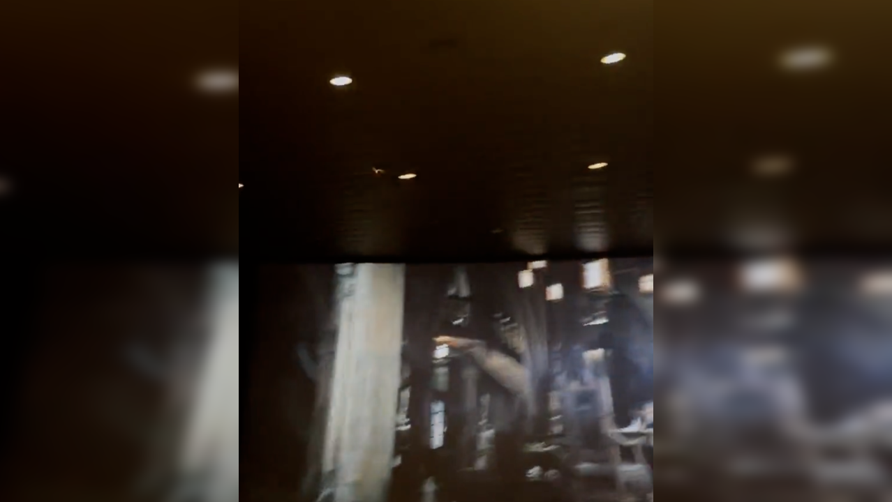 Live bat flies inside a cinema at The Batman screening in Austin. | Image: Twitter