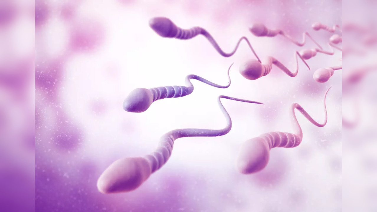 Male fertility: 5 habits that can damage the male reproductive health