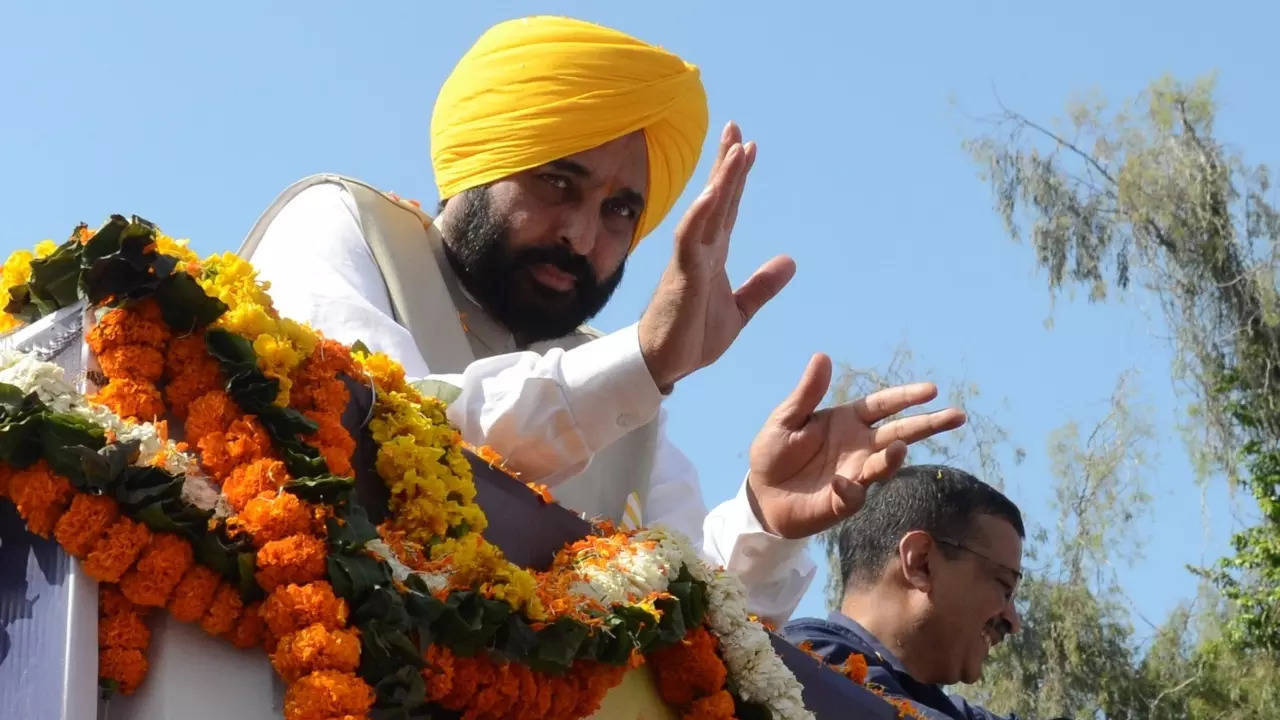 Bhagwant Mann Oath Taking Ceremony Punjab Cm Designate Urges People To Colour Bhagat Singhs