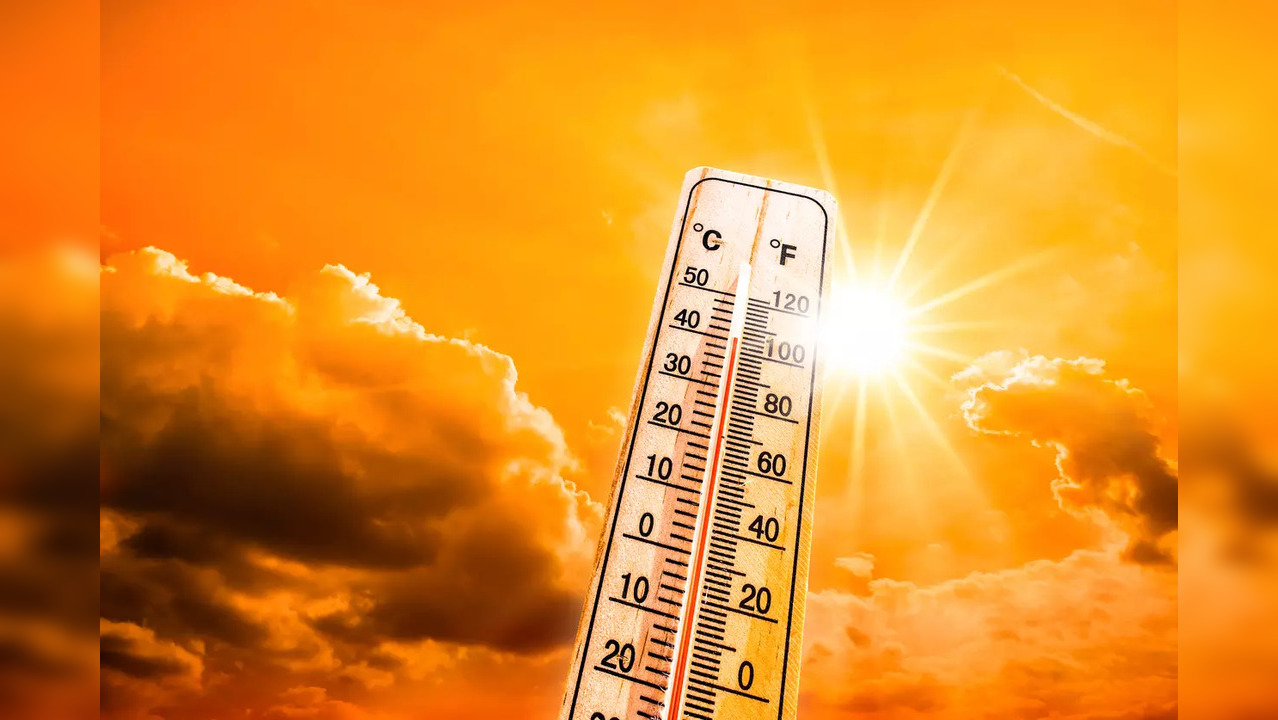 IMD issues heatwave warning - Tips to stay safe from the extreme heat