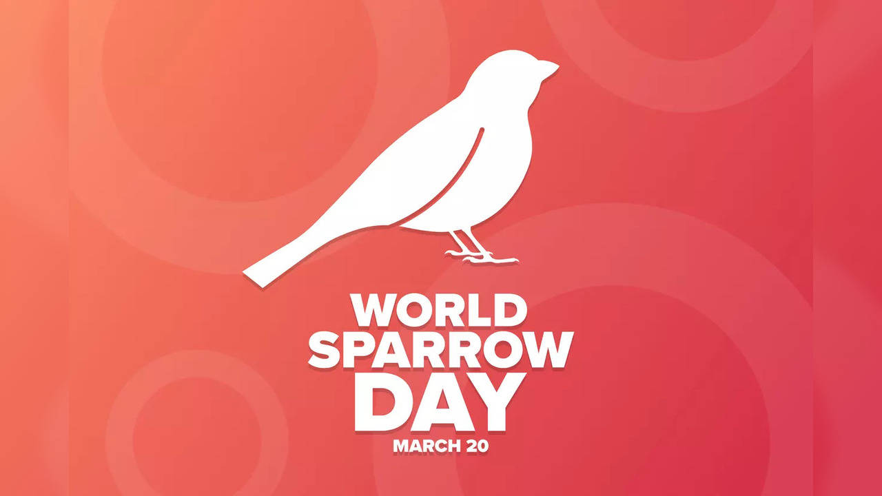 World Sparrow Day 2022 | Image courtesy: iStock