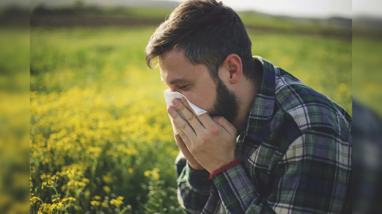 allergy hay fever season change cough cold