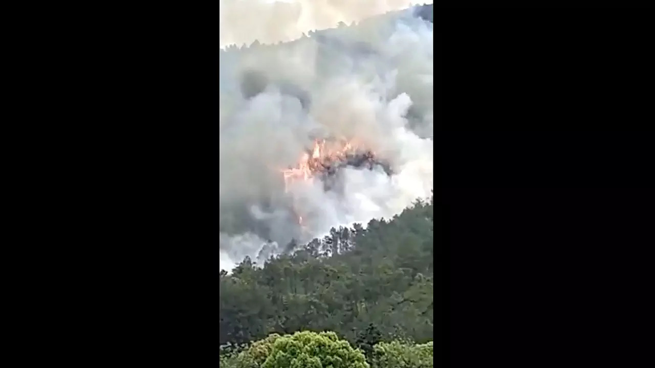 china plane crash