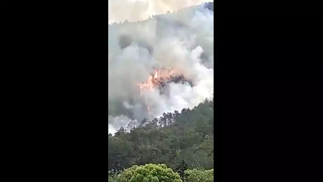 A China Eastern passenger jet carrying 132 people crashes in southern China