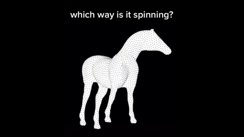 Which way is the horse spinning