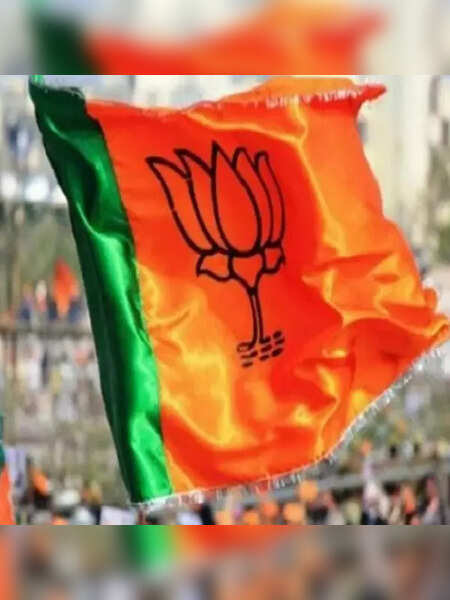 Bjp Latest News Bjp Videos and Photos - Times Now