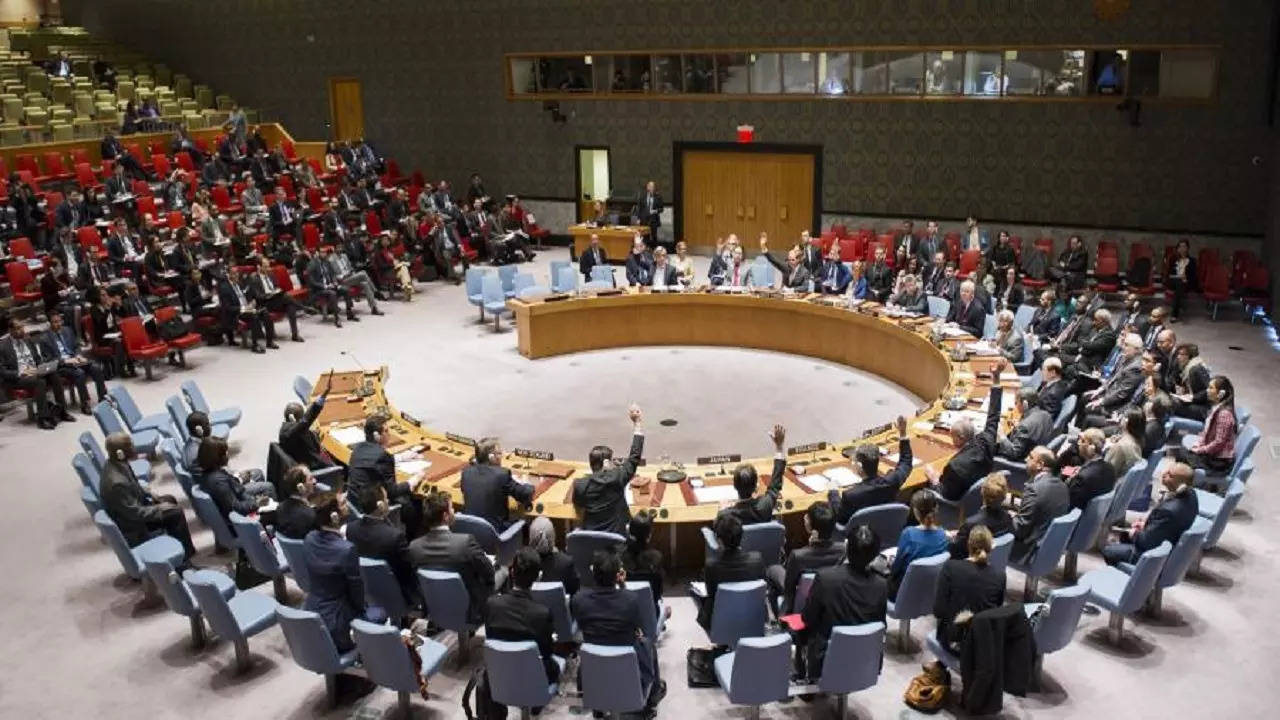 UN security council